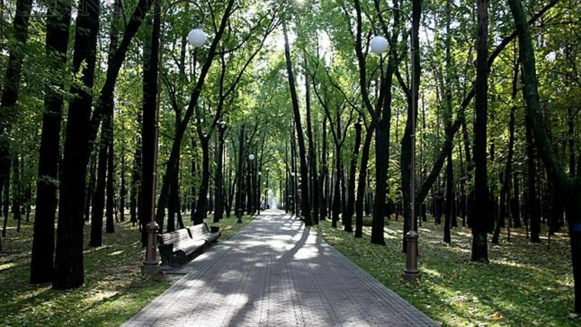 Hotel Studiominsk Apartments